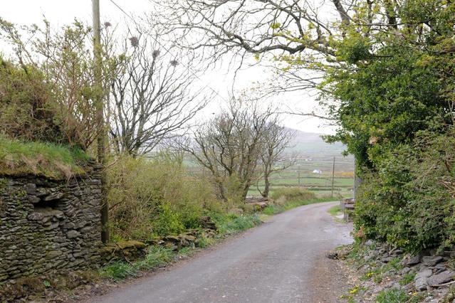 Griffins Holiday Cottage Dingle Exterior foto
